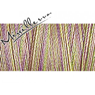 Nitě Gütermann Multicolor SULKY 4024