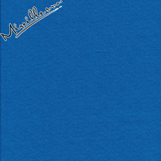 Látka Bear Essentials Blue