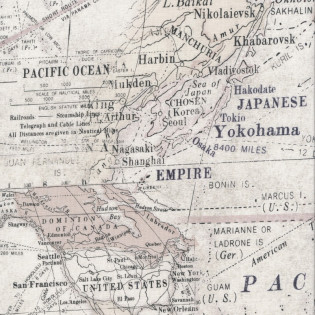 FQ Eclectic Elements Monochrome - Maps
