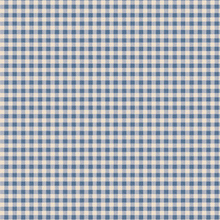 Tkaná bavlna TILDA Creating Memories - Summer - Gingham Blue